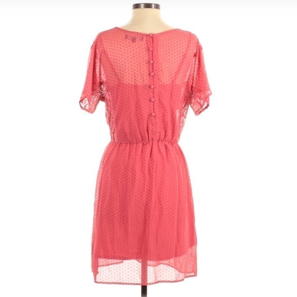 𝅺SANCTUARY Coral Dress with Lace Detail and Slip Lining Size XS - Picture 2 of 4